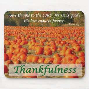 Pumpa lappar - Thankfulness Musmatta