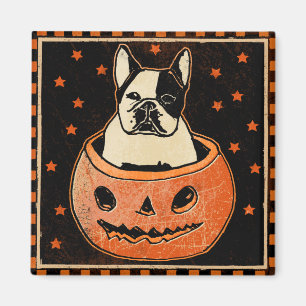 Pumpa Magnet