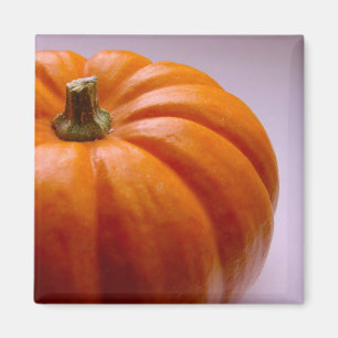 Pumpa Magnet
