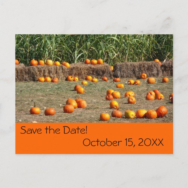 Pumpa, Majs och Hö Höst Sparadatum Meddelande Vykort (Framsida)