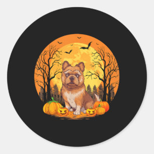 Pumpa med rolig Halloween-kostym Bryssel Runt Klistermärke