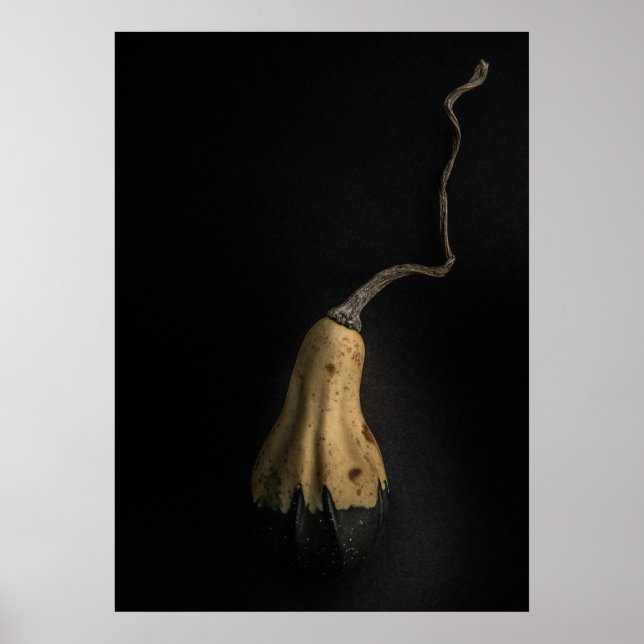 Pumpa Nr 12 Färgversion Poster (Framsidan)