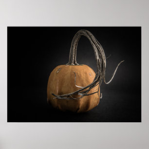 Pumpa Nr 14 Färgversion Poster