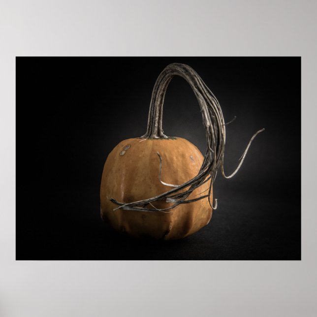 Pumpa Nr 14 Färgversion Poster (Framsidan)