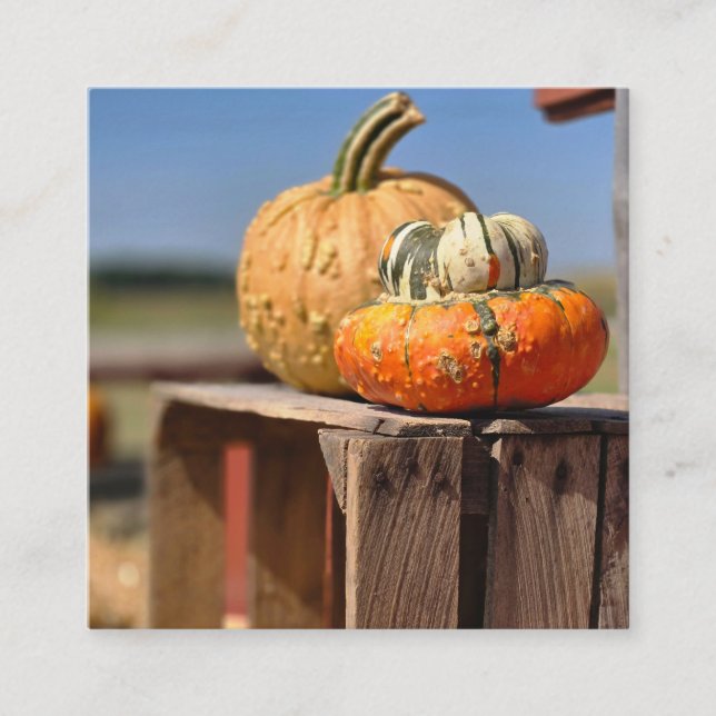 Pumpa och kalebass tilläggskort (Framsida)