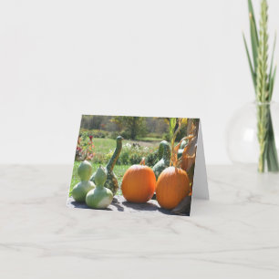 Pumpa och kalebasser Höstnaturfotografering Anteckningskort