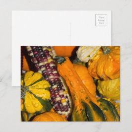 Pumpa och Majs Höstmat Fotografi Vykort