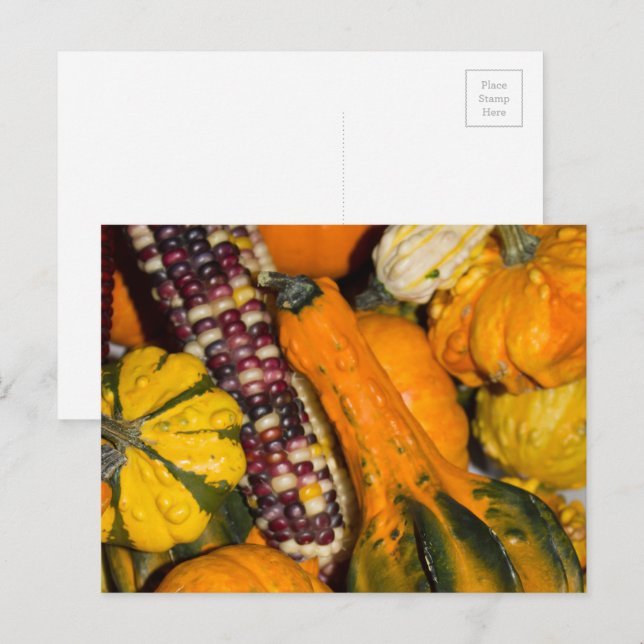 Pumpa och Majs Höstmat Fotografi Vykort (Fram/baksida)
