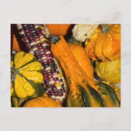 Pumpa och Majs Höstmat Fotografi Vykort