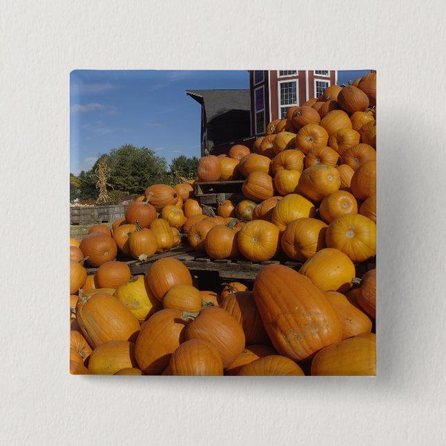 Pumpa på gård på hösten nära Concord, Knapp (Framsida)