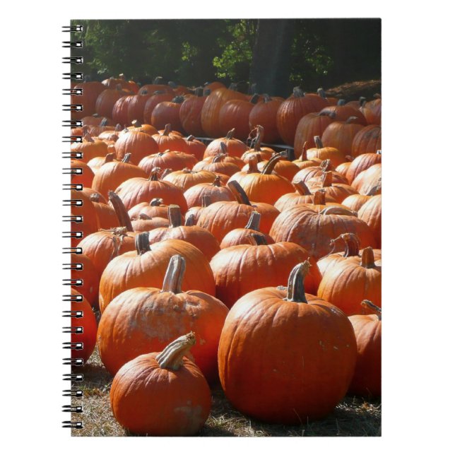 Pumpa Patch Höstskörd Fotografi Anteckningsbok (Framsidan)