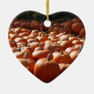 Pumpa Patch Höstskörd Fotografi Julgransprydnad Keramik