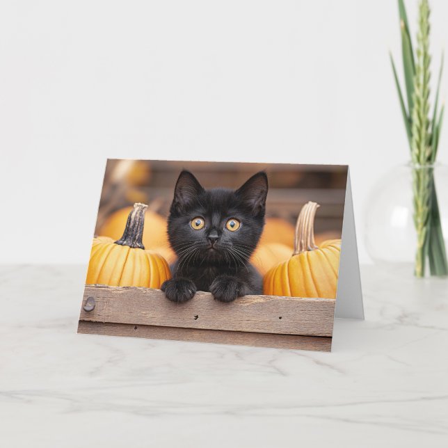 Pumpa Patch Katten Kort (Framsida)