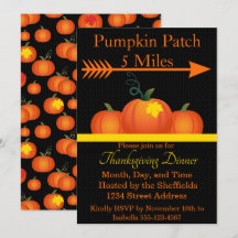 Pumpa Plock