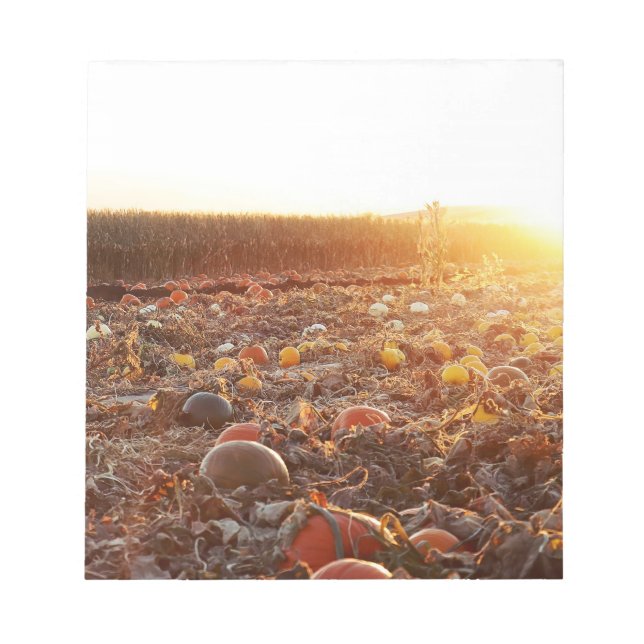 Pumpa Plocka Solnedgång C Anteckningsblock (Framsida)