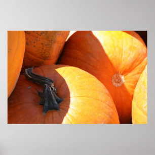 Pumpa Poster