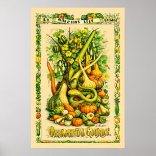 Pumpa Retro Viktoriansk Botanisk Konst Poster