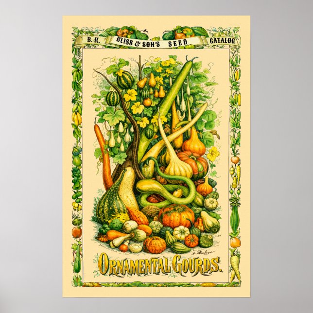 Pumpa Retro Viktoriansk Botanisk Konst Poster (Framsidan)