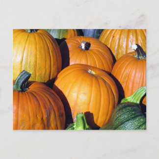 Pumpa skörd vykort