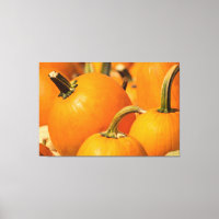 PUMPA SKÖRDA 60 X 40 INKLUderad KANVAS
