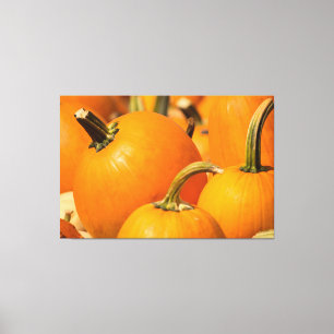 PUMPA SKÖRDA 60 X 40 INKLUderad KANVAS