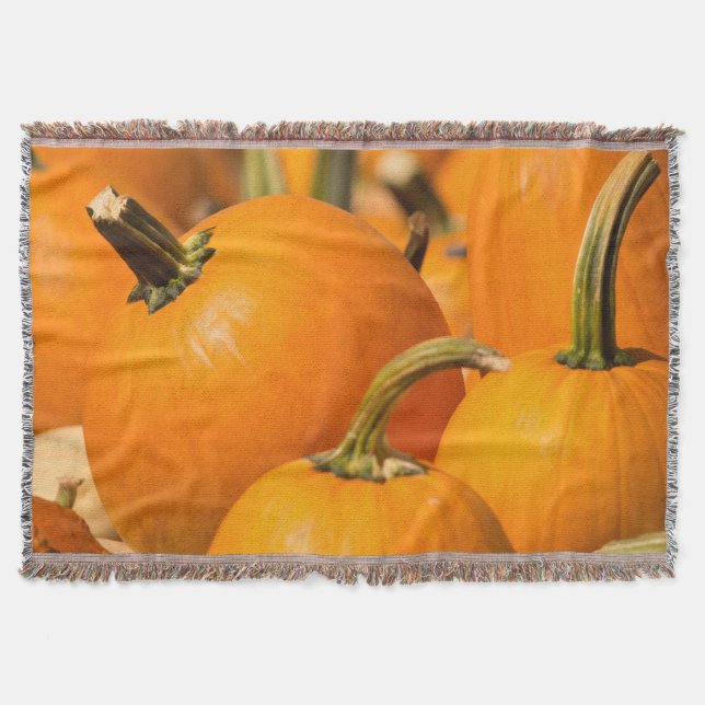 Pumpa Skörde Kastfilt Mysfilt (Framsidan)