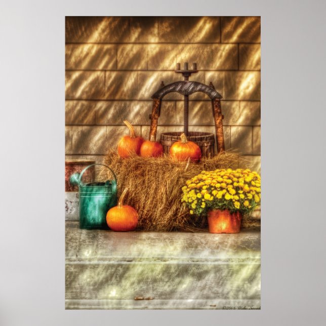 Pumpa - Stilleben med pumpor Poster (Framsidan)