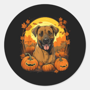 Pumpa Svart Mun Cur Hund Halloween Thanksgiving Runt Klistermärke