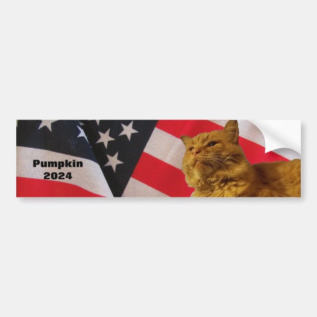 Pumpa till president Flagga Bakgrundsspruta Bildekal (Framsidan)