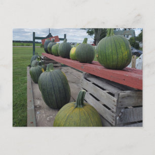 Pumpa Vykort
