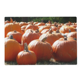 Pumpafoto för höst, Halloween eller Thanksgiving