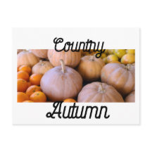 Pumpagubbar på Bondens Marknad Höst