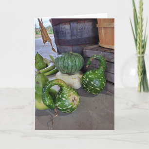 Pumpagurkor Kort