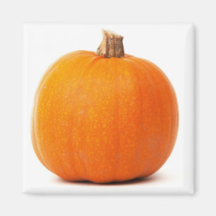 Pumpamagnet Magnet
