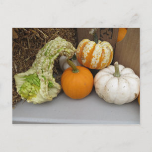 Pumpasortering Vykort