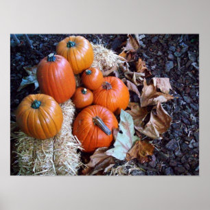Pumpavisningtryck Poster