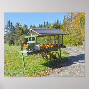 Pumpdockställ i Vermont på hösten Poster