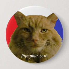 Pumpkin 2016 Val Kampanj Knapp
