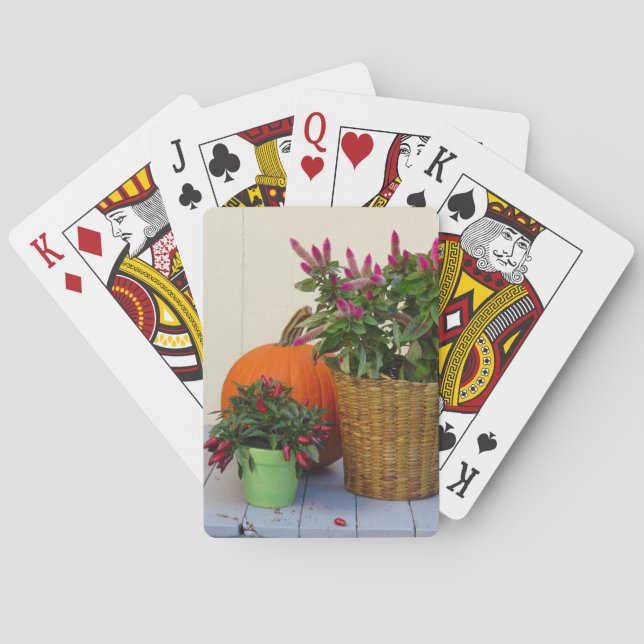 Pumpkin and Pepper Plant - Martha's Vineyard Casinokort (Baksidan)