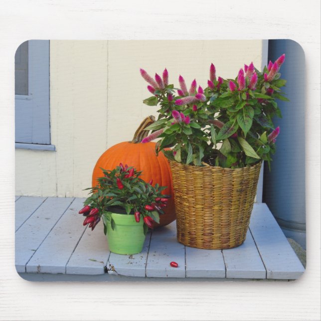 Pumpkin and Pepper Plant - Martha's Vineyard Musmatta (Framsidan)