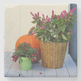 Pumpkin and Pepper Plant - Martha's Vineyard Stenunderlägg