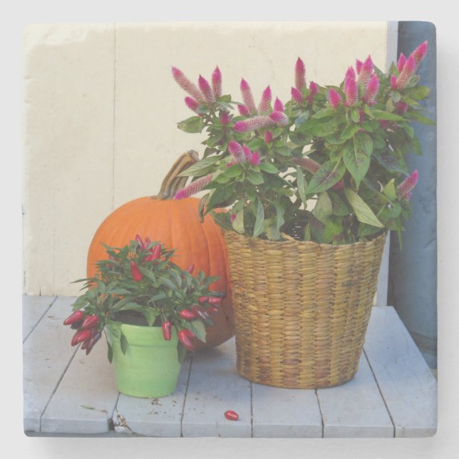 Pumpkin and Pepper Plant - Martha's Vineyard Stenunderlägg (Framsidan)