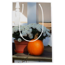 Pumpkin and White Morsa - Martha's Vineyard