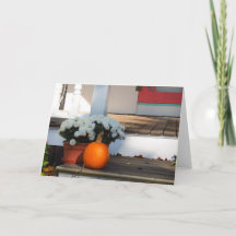 Pumpkin and White Morsa - Martha's Vineyard