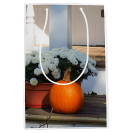 Pumpkin and White Morsa - Martha's Vineyard Medium