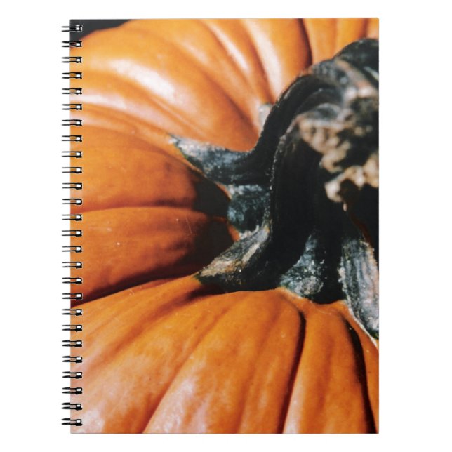 PUMPKIN! ANTECKNINGSBOK (Framsidan)