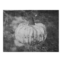 Pumpkin Autumn Vintage Black and White Struktur