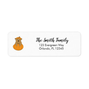 Pumpkin Bear Autumn Design Returadress Etikett