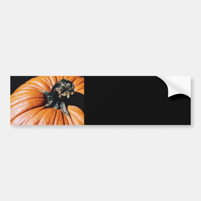 Pumpkin Bildekal (Framsidan)