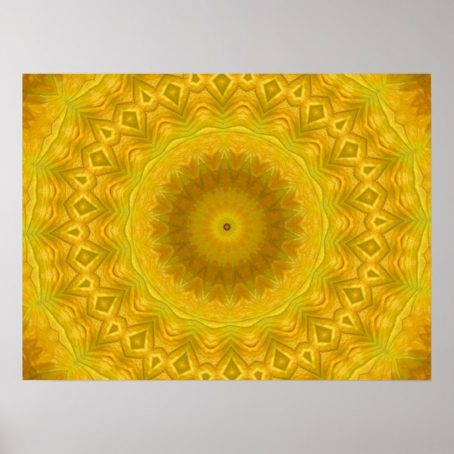 Pumpkin Blommar Kaleidoscope Poster (Framsidan)